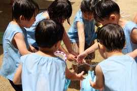 水・泥・氷あそび開始！